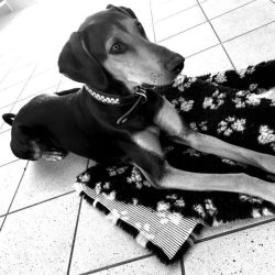 Lucy-e1720530276291